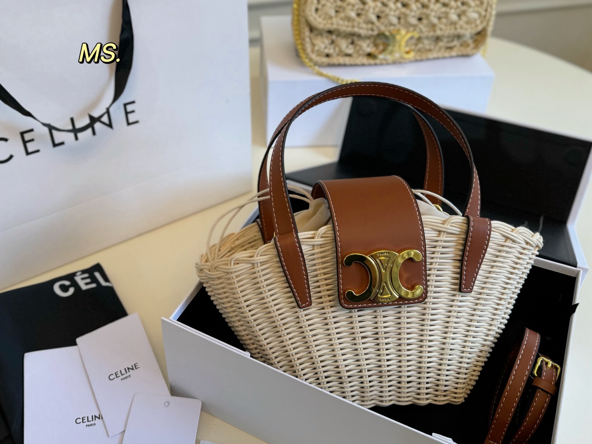 CELINE bag 27